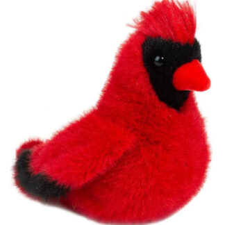 Douglas Bird, Cardinal